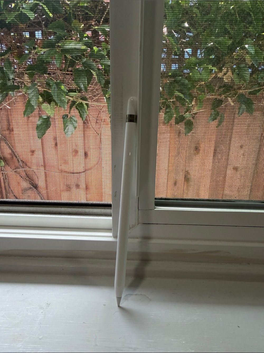 Apple Pencil in White